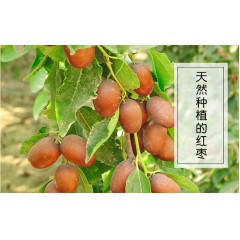 新疆 喀什 疆果果 果真混的好600g/箱    每日?qǐng)?jiān)果