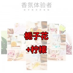 香薰家用室內(nèi)臥室?guī)諝夥块g除臭衛(wèi)生間熏香持久香水香氛清新劑